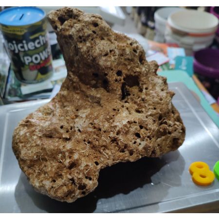 Żywa skała do akwarium morskiego - bryła nr. 80